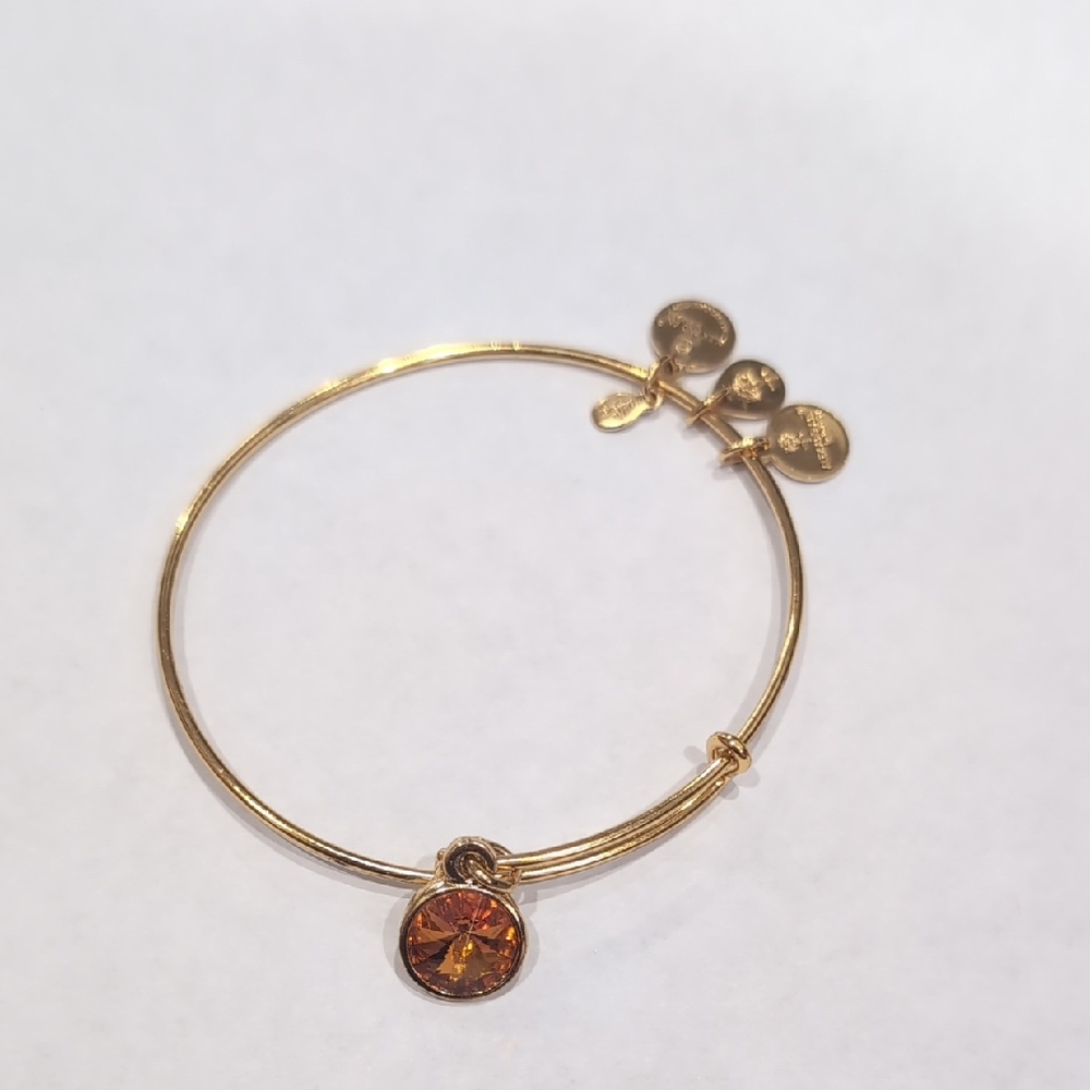Alex and Ani Gold and November Topez Charm Bracelet